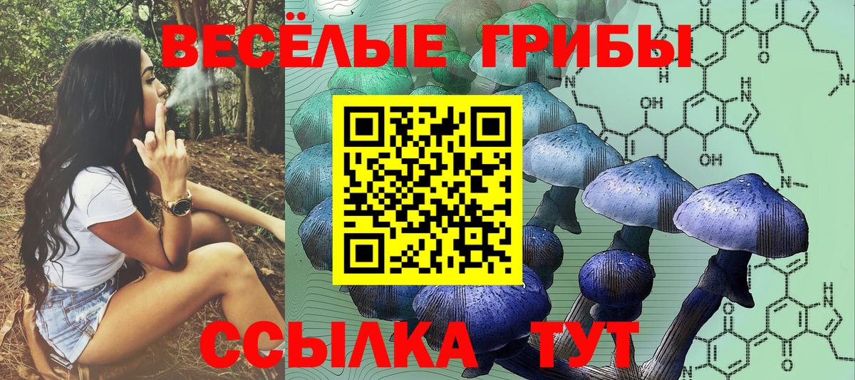 Псилоцибиновые грибы мицелий  Вход с VPN  Острогожск 